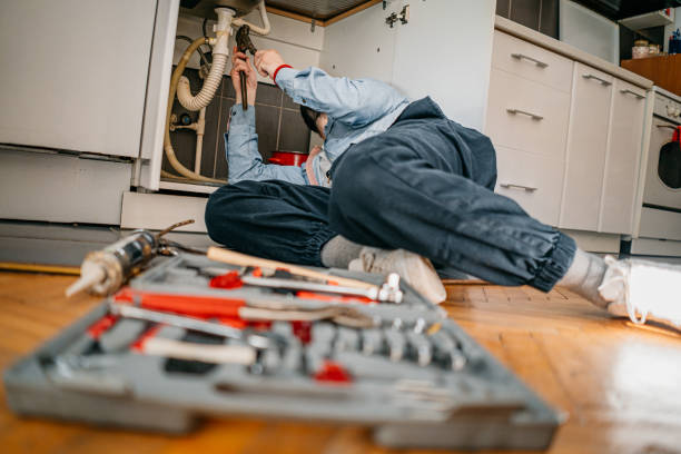 Best Sewer Line Repair  in Pierz, MN