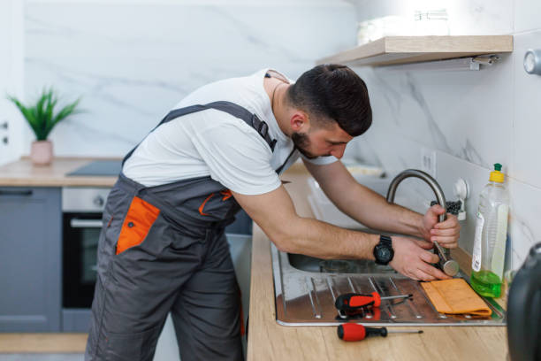Best Plumbing Inspection Services  in Pierz, MN