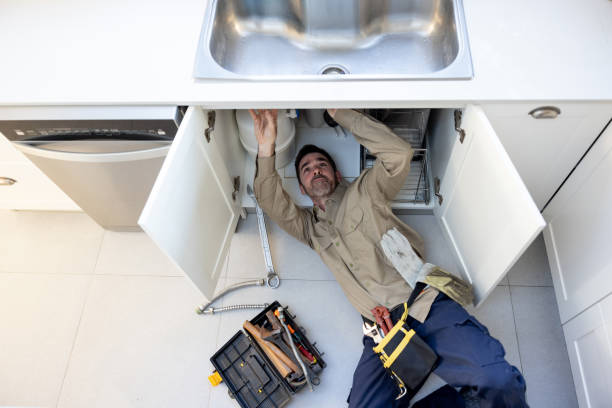 Best Local Plumber Services  in Pierz, MN