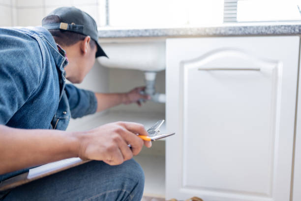 Best Clogged Drain Plumber  in Pierz, MN