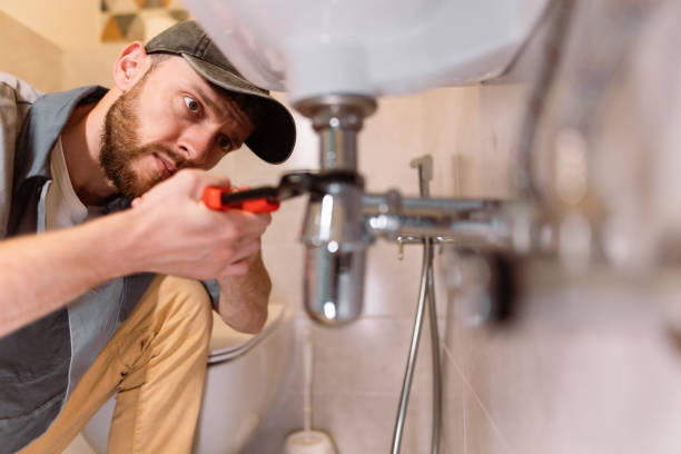 Best Affordable Plumber Near Me  in Pierz, MN