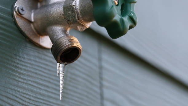Best Sewer Cleaning Services  in Pierz, MN