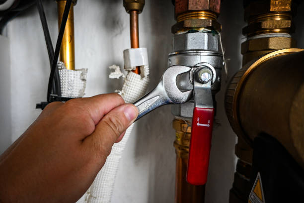Best Drain Cleaning Services  in Pierz, MN
